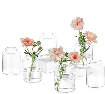 Bud Vase Set Assorted Shapes Clear Glass Modern Minimalist Wedding