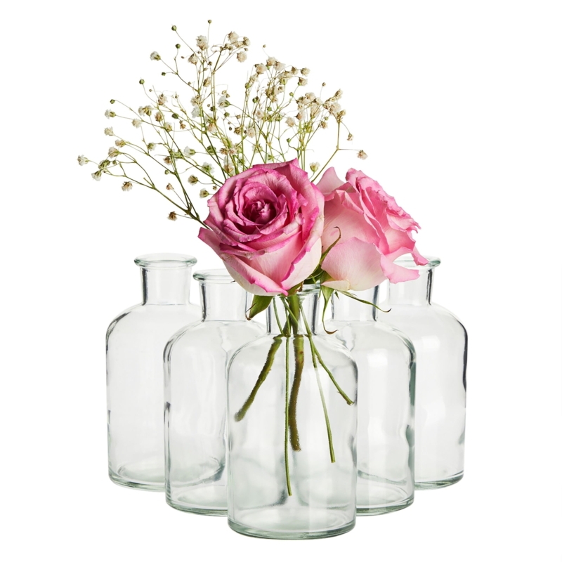 Bud Vase Set Clear Glass Apothecary Silhouette Minimalist Floral Centerpiece