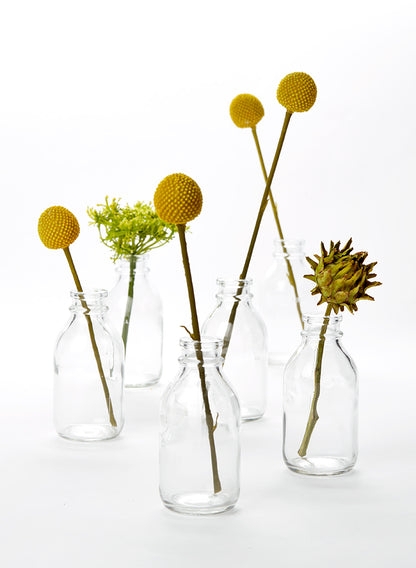 Bud Vase Set Mini Clear Milk Bottle Shape Modern Farmhouse Floral