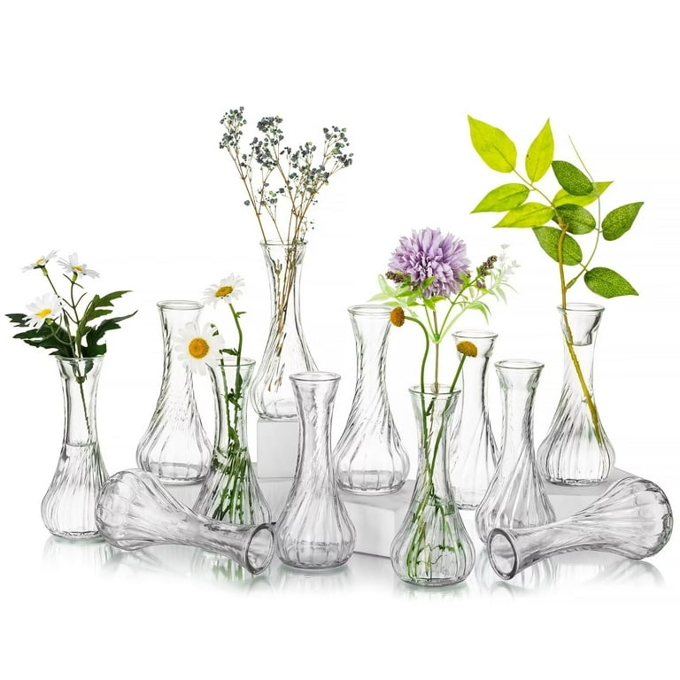 Bud Vases Clear Ribbed Surface Varied Silhouettes Petite Scale Collection