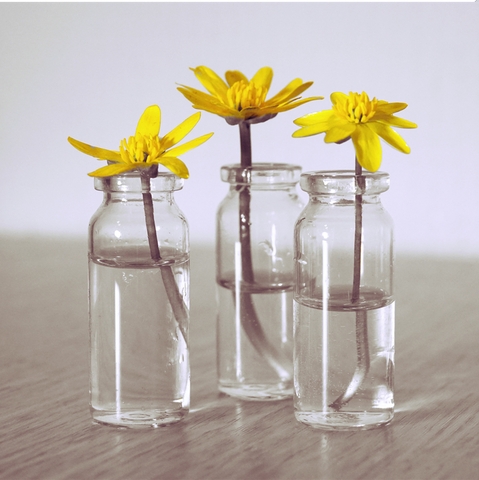 Bud Vases Trio: Miniature Scale Glass Vial Silhouette, Minimalist Style