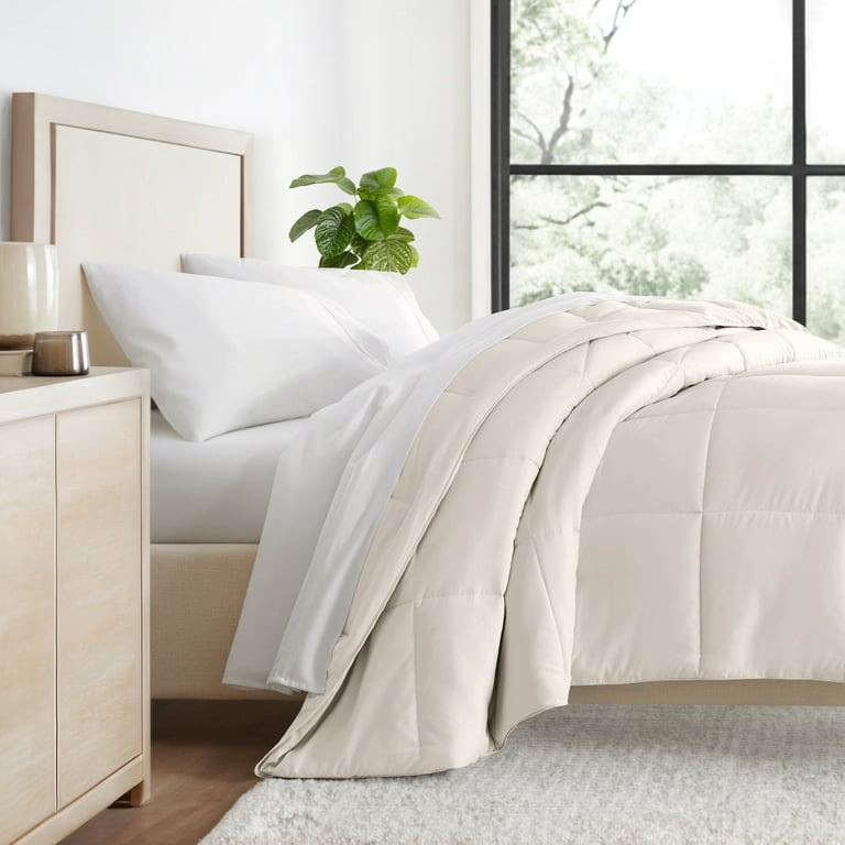 Comforter Box Stitching Ivory Piped Edges Minimalist Contemporary
