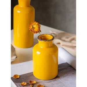 Decorative Vase Set Modern Farmhouse, Distressed Dark Rim, Bottle Shape