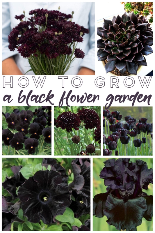 Floral Moodboard for Monochromatic Garden Inspiration