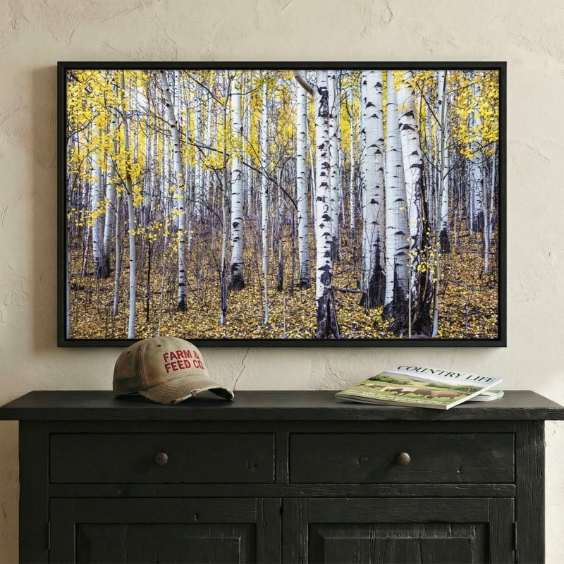 Framed Landscape Photography featuring Aspen Trees and Black Frame