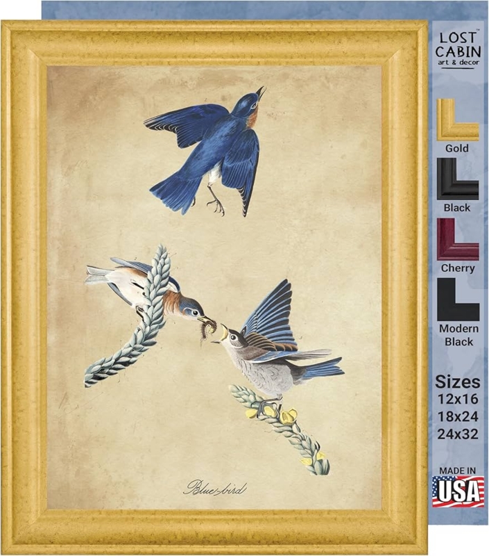 Framed Wall Art: Traditional Audubon Bluebird Print, Gold Beveled Frame