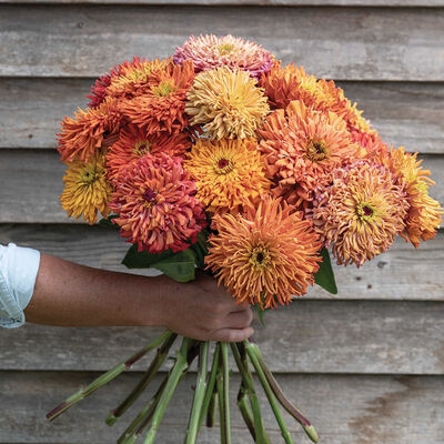 Fresh Flower Bouquet Rustic Farmhouse Densely Layered Bronze Petals