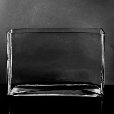 Glass Vase Clear Rectangular Thick Base Rounded Corners
