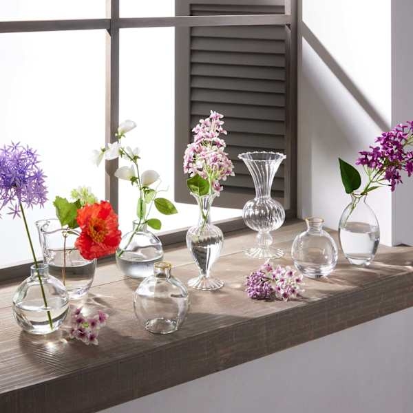 Glass Vase Collection: Varied Silhouettes, Rustic Windowsill Vignette