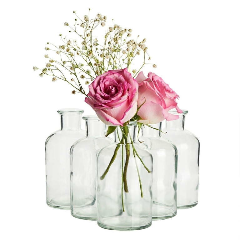 Glass Vase Set: Small Scale Apothecary Style with Rimmed Lips