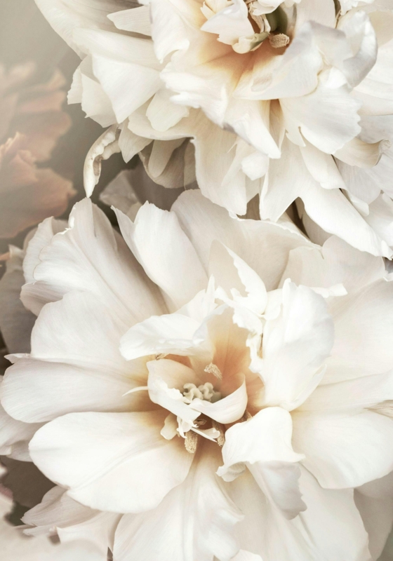Macro Floral Print: Layered Texture, Diffused Focus