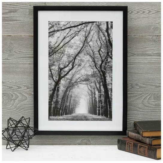 Matted Wall Art: Moody Black and White Decor Trees