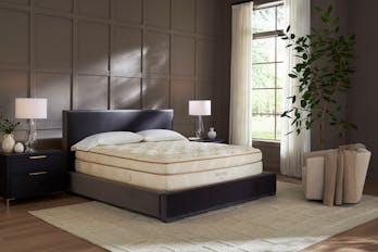 Mattress Cream Pillow Top Tufted Surface Luxury Style