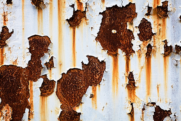 Metal Panel: Distressed White Surface with Organic Rust Streaks
