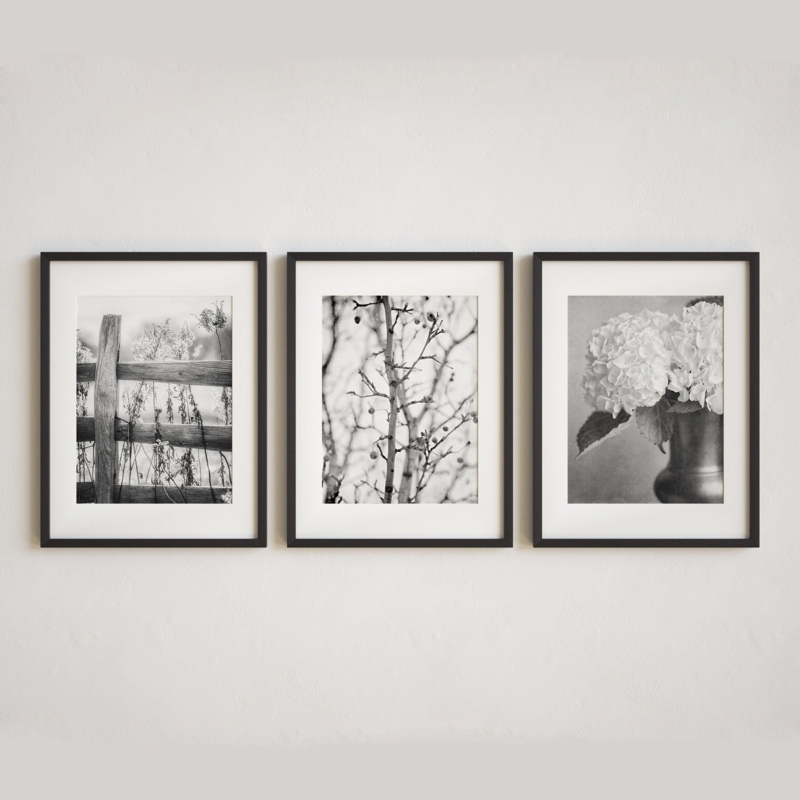 Minimalist Triptych Wall Art: Nature Gallery Set