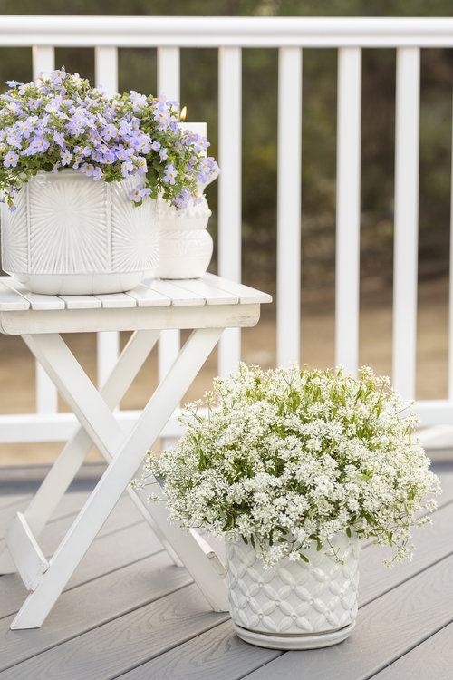 Planter Vignette, Textured White Ceramic Pots, Folding Side Table