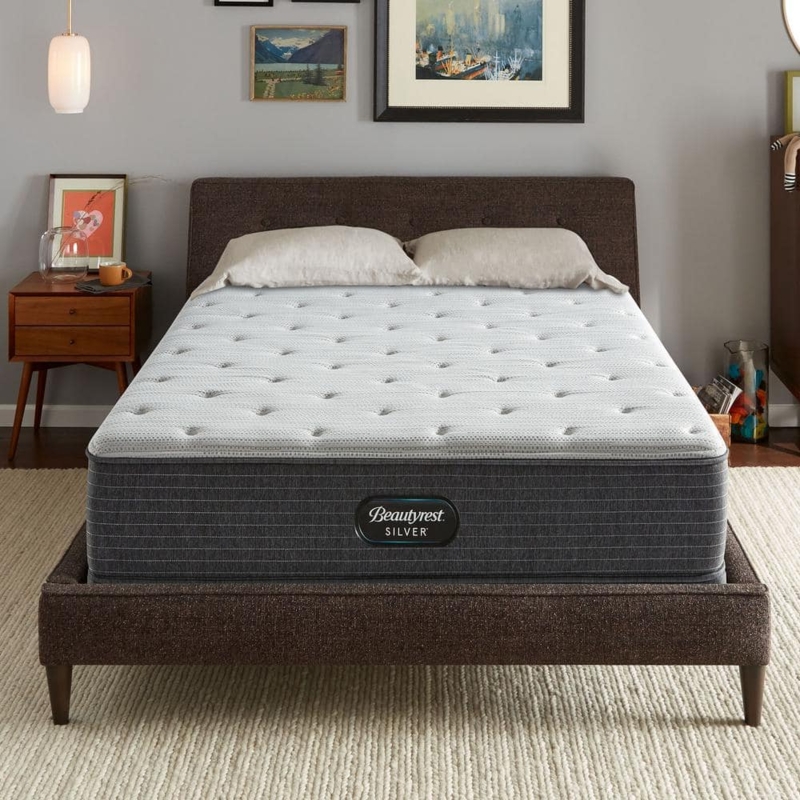 Plush Quilted Mattress with Mid-Century Modern Bed Frame Style
