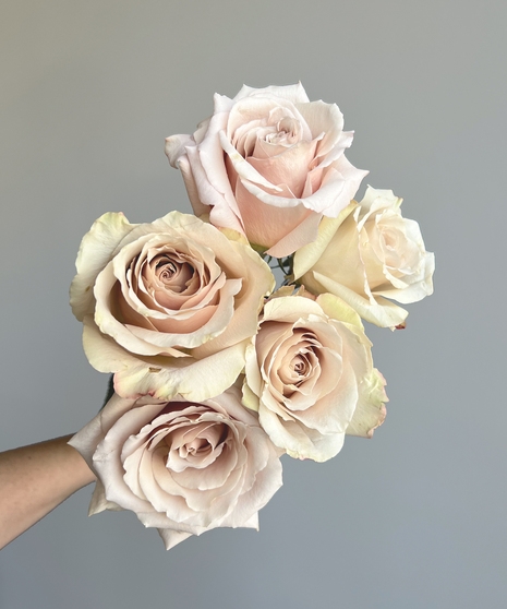 Roses: Quicksand Variety with Ruffled Petals and Muted Tones