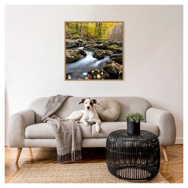 Square Wall Art: Autumn Forest Print, Modern Transitional Style