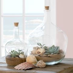 Terrarium: Glass Bottle Shape with Cork Stopper & Side Access Cutout