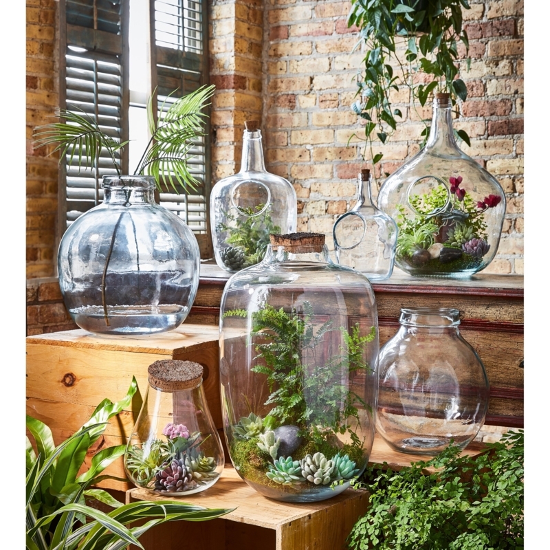 Terrarium Jars Recycled Glass Cork Stoppers Rustic Indoor Garden