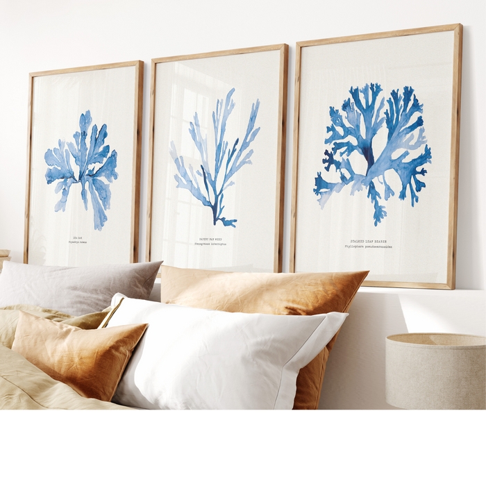 Triptych Set Wood Frames Watercolor Seaweed Prints Coastal