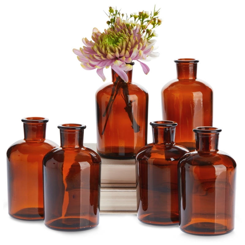 Vase Set: Amber Glass Apothecary Propagation Jars (51 chars)