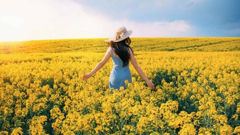 Vast Flower Field Scene with Cottagecore Aesthetic and Sun Hat