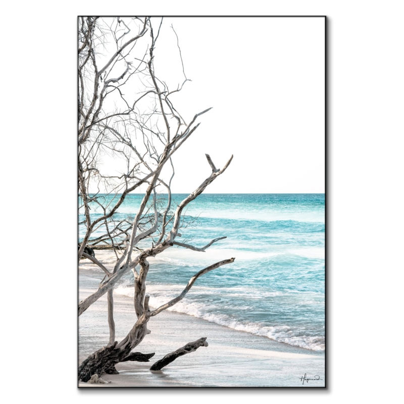 Wall Art Coastal Driftwood High Key Sky Vertical Thin Frame