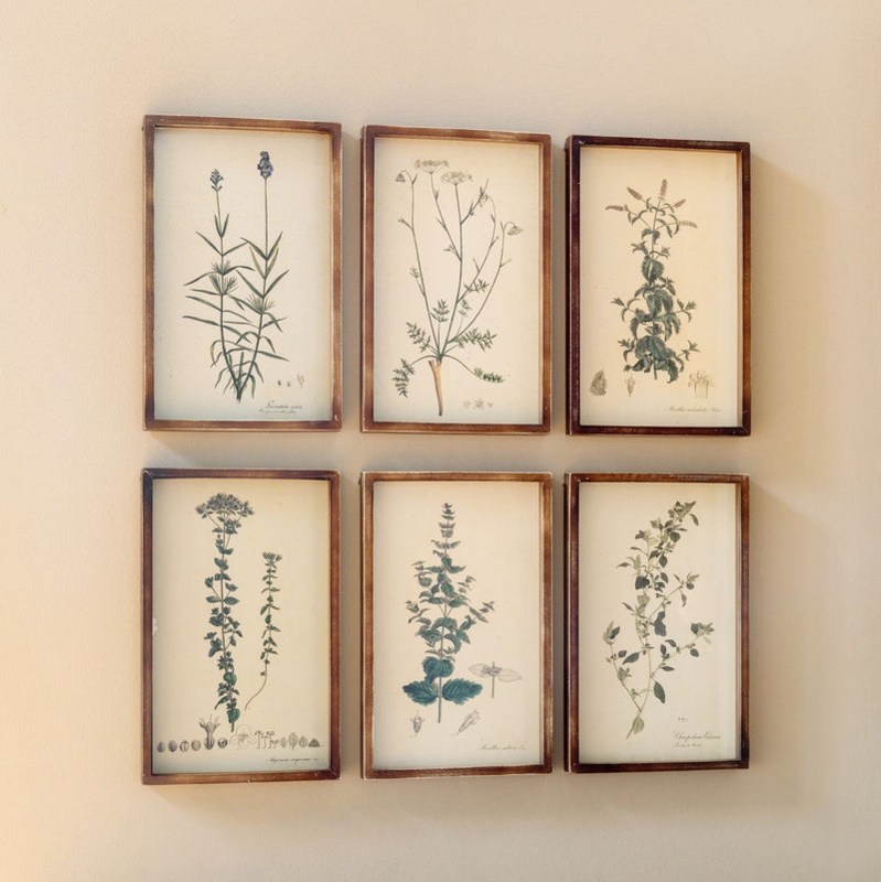 Wall Art: Distressed Wood Framed Botanical Sketch Set of 6