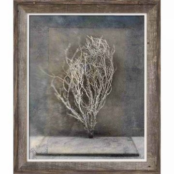 Wall Art Framed Skeletal Branch Motif Weathered Wood, Rustic Modern