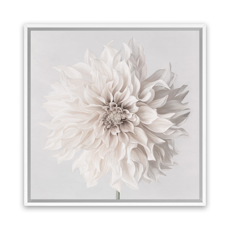 Wall Art Framed Square Botanical Dahlia Print White Floating Frame