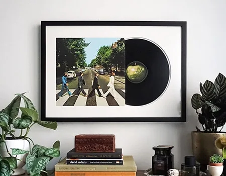 Wall Art Framed Vinyl Record Art with Plants, Eclectic Shelf Styling