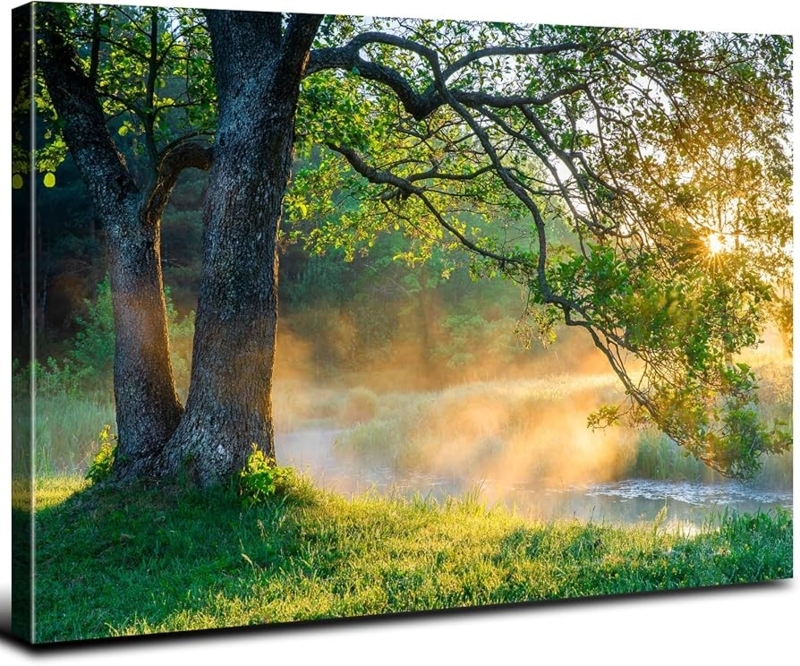 Wall Art Gallery Wrapped Misty River Scene Sunlight Effect Nature