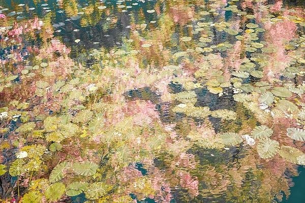 Wall Art Horizontal Impressionist Vibrant Water Reflections Teal
