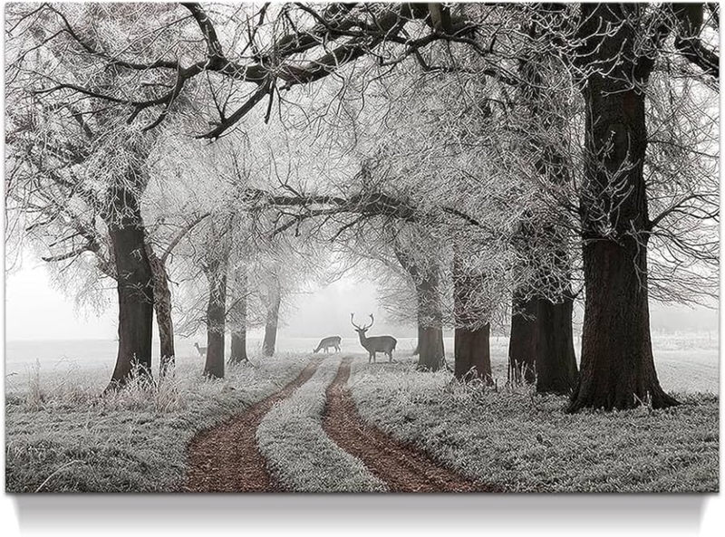 Wall Art: Monochrome Nature Landscape Print, Frost Covered Trees