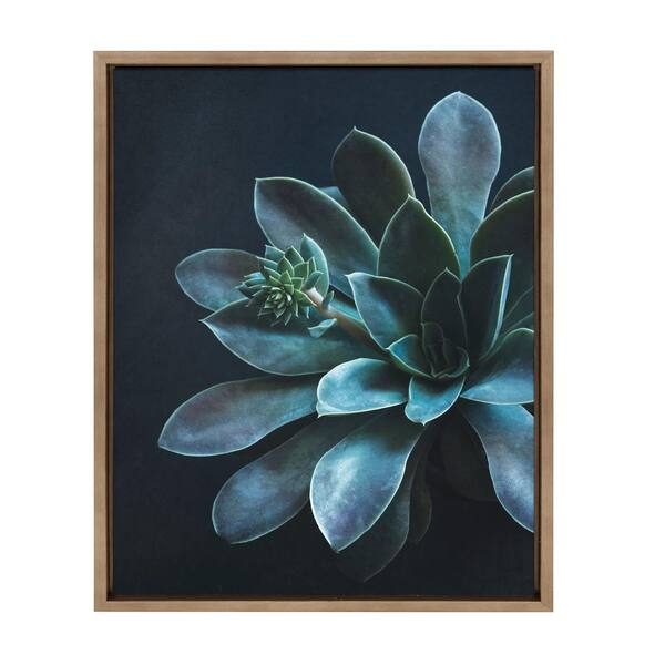 Wall Art: Moody Teal Succulent Framed Canvas Print