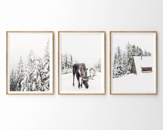 Wall Art: Moose Photography Print, Triptych Set, Wood Frames