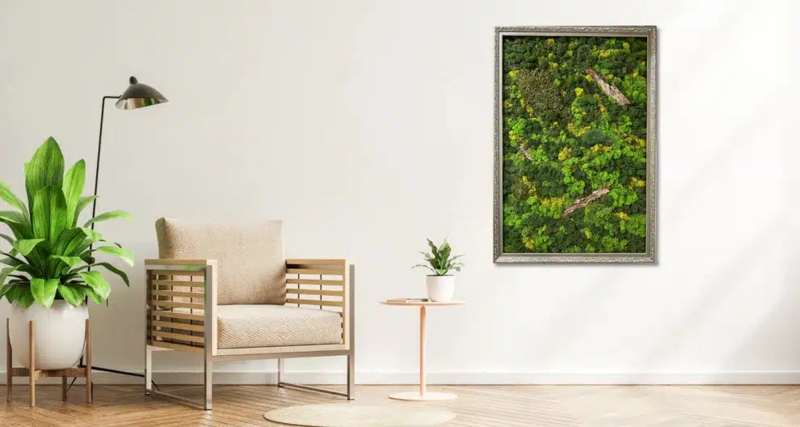 Wall Art Preserved Moss Biophilic Focal Point Framed Organic Texture