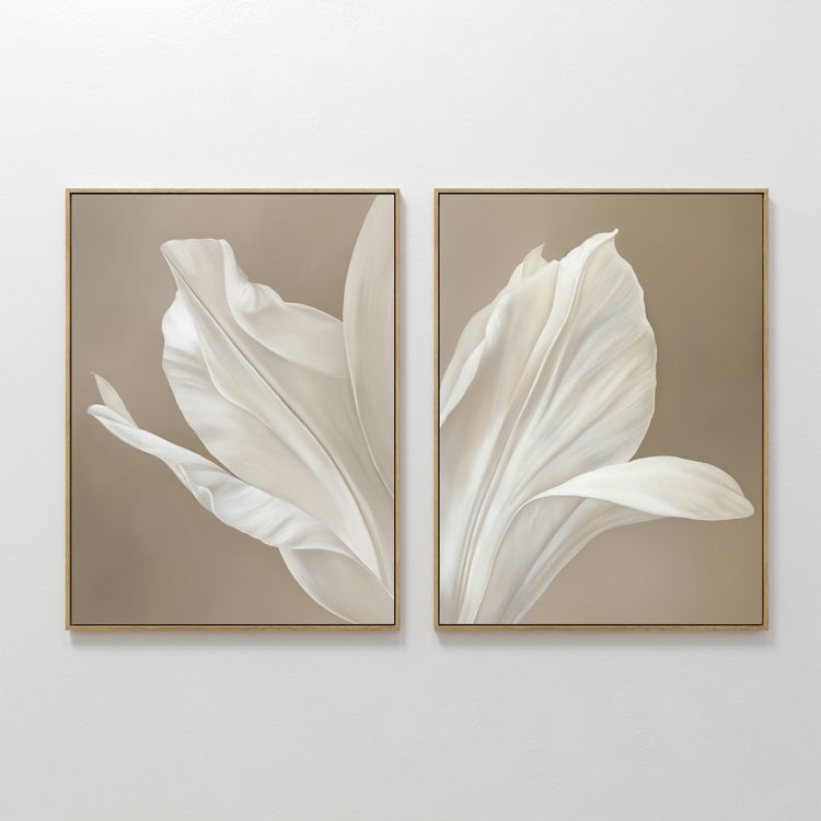 Wall Art Set Diptych Composition Ivory Petals Taupe Background Minimalist
