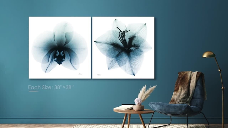 Wall Art Square Silhouette Set of 2 X Ray Floral Graphic Glass