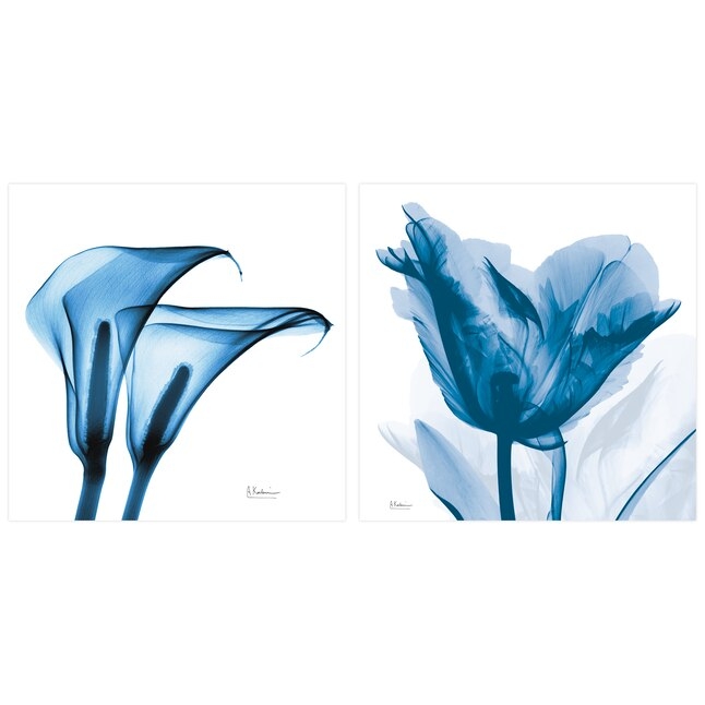 Wall Art X Ray Botanical Graphic Indigo Blue Tones Square Set