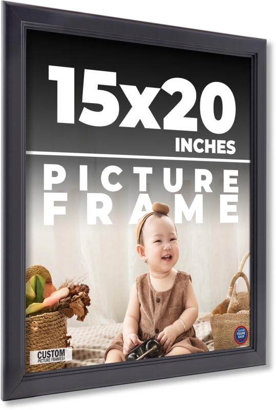 Contemporary Picture Frame, Matte Finish Stepped Profile