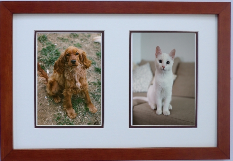 Double Picture Frame Wood-Toned Landscape Traditional Style