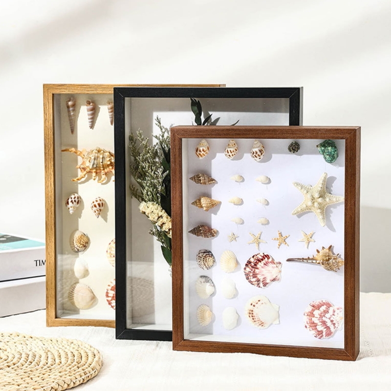 Mixed Finish Shadow Box Frames Set of 3 Coastal Specimen Display