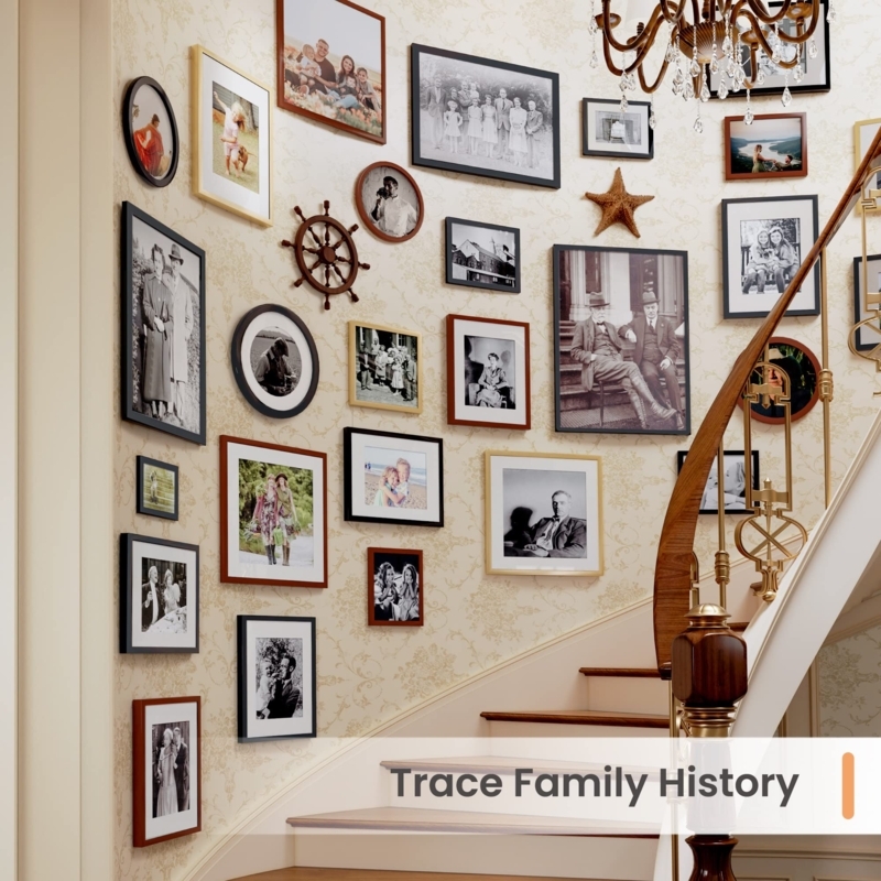 Mixed Shape Picture Frame Set for Staircase Gallery Wall Display