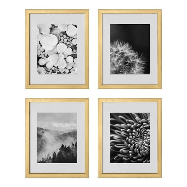 Picture Frame Gold Gallery Set, Monochrome Nature Art, White Matting