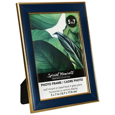 Picture Frame Navy Blue Finish Double Gold Edge Beveled Profile