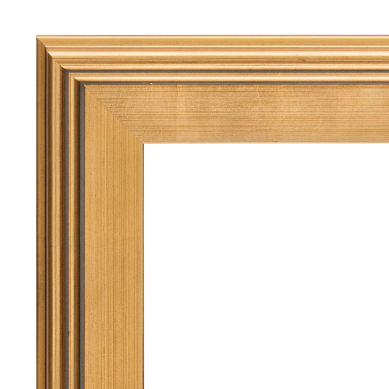 Picture Frame Plein Air Silhouette Stepped Molding Brushed Finish