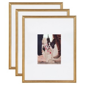 Picture Frame Set Gold Wide Matting, Three-Piece Collection
